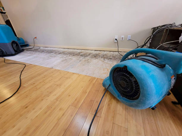 Professional Flood Damage Cleanup technician working in Hallam, NE